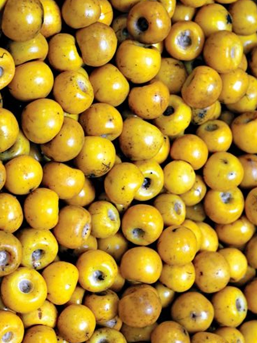 Ingrediente de Nance