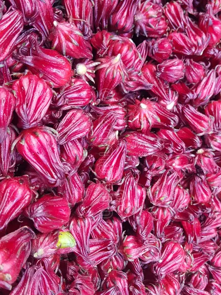 Ingrediente de Saril & Jengibre